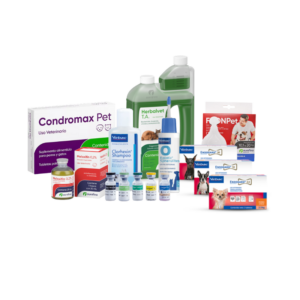 Farmacia