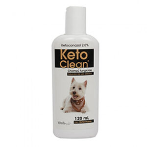 KETOCLEAN CHAMPU SHAMPO