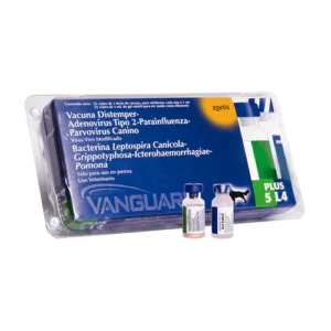 VANGUARD PLUS 5 L4 PENTAVALENTE